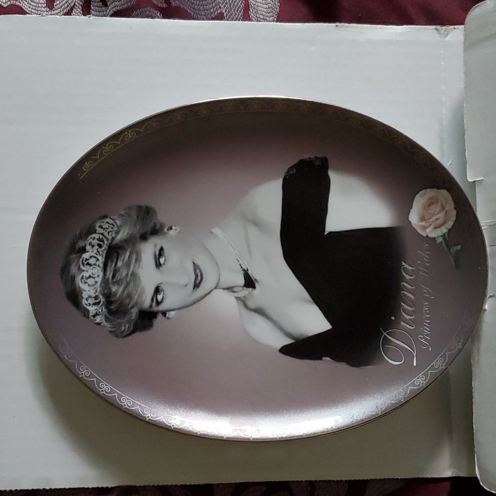 Bradford Exchange Princess Diana Plate.